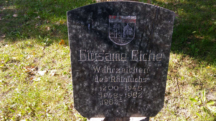 Gedenkstein für die drei Individuen mit Namen Einsame Eiche in Brandenburg.