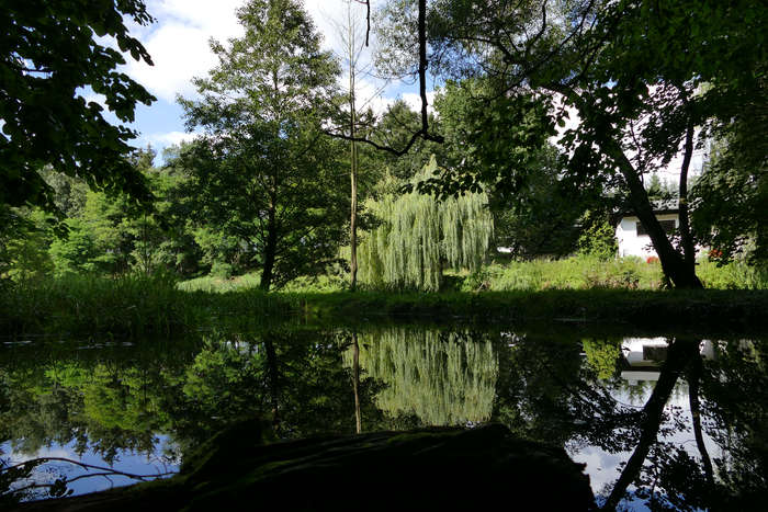 See am Königsfließ bei Kümmernitz - Brandenburg, Ostprignits-Ruppin, Breddiner Schweiz
