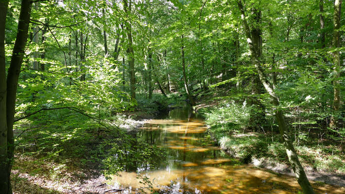 Ostprignitz-Ruppin, Brandenburg, Königsfließ bei Kümmernitz