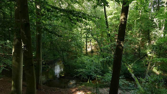 Königsfließ in der Breddiner Schweiz, Brandenburg, Ostprignitz-Ruppin