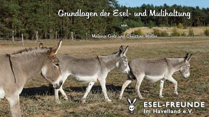 Unterrichtsmaterial - Das Buch 