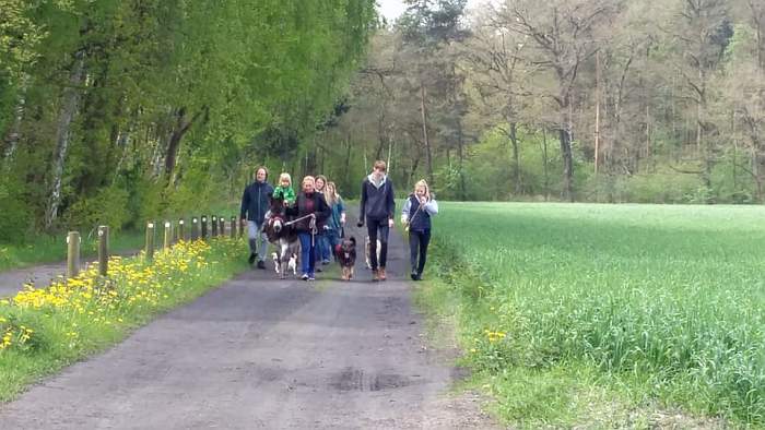 Eselwanderung - ein wunderschönes Angebot für Familienausflüge - Picknick inklusive