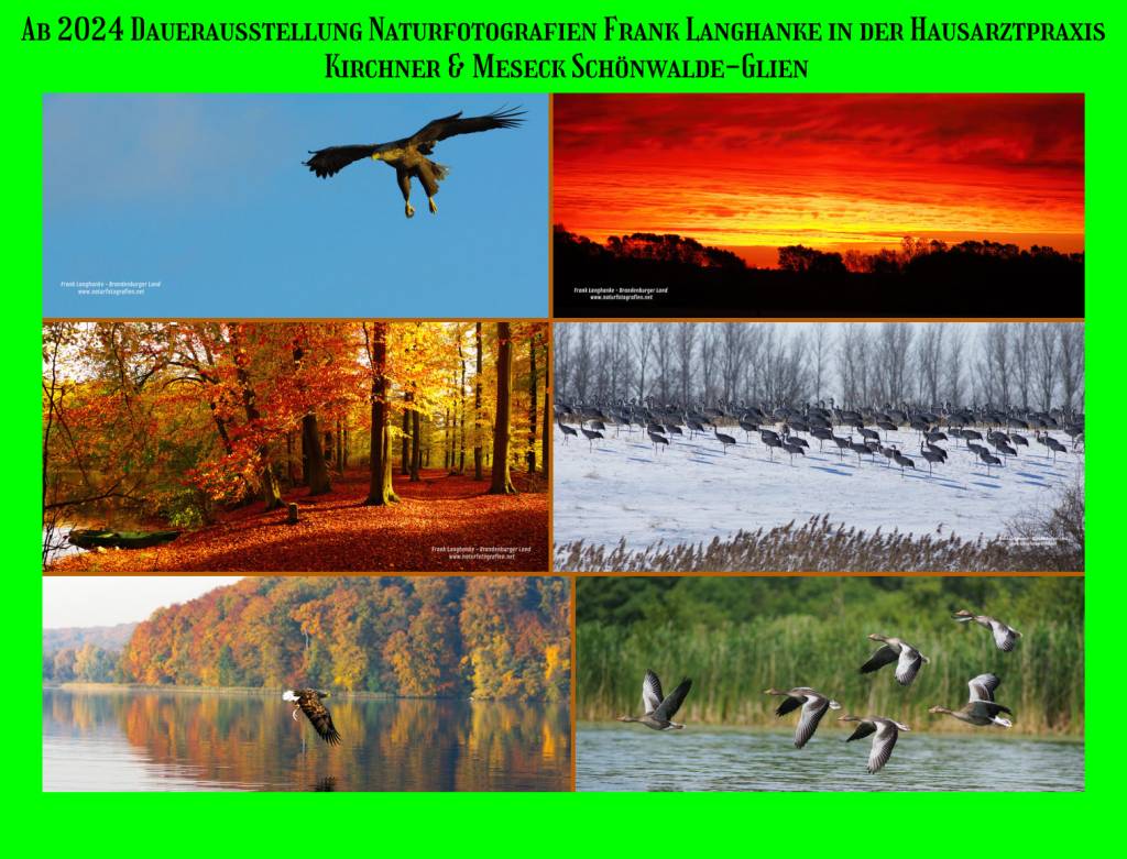 Dauerausstellung Naturfotografien Frank Langhanke