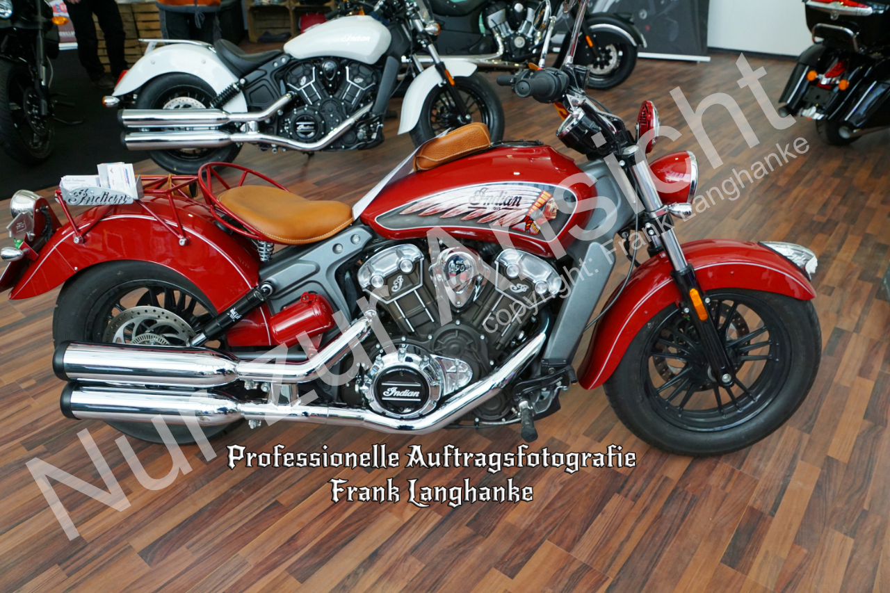 Motorrad 01 Naturfotograf Frank Langhanke Havelland Brandenburg DSC07029