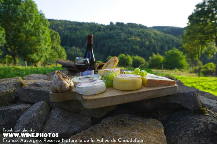 brandenburger.land - Naturfotograf Frank Langhanke