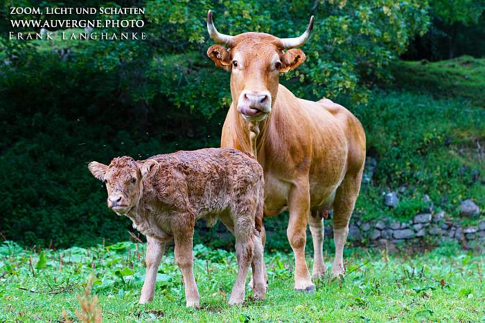 brandenburger.land - Naturfotograf Frank Langhanke