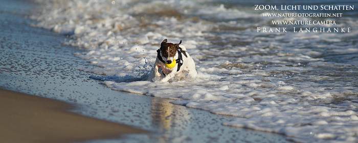brandenburger.land - Naturfotograf Frank Langhanke