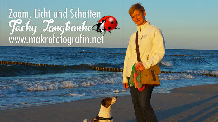 Brandenburg Jacqueline Amoneit - Jacqueline Langhanke Makrofotografin