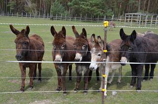 2016 04 Rendesvous 620 320px