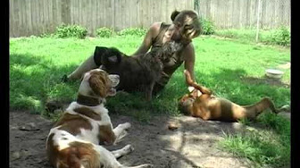 Rendezvous mit Tieren - YouTube Video