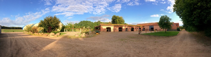 Die liebevoll gepflegte Anlage. Links im Bild sieht man die großzügigen Gastboxen. Jede hat ihre eigenes Paddock und eine Gastweide kann auf Wunsch dazu gebucht werden. Die liebevoll gepflegte Anlage. Links im Bild sieht man die großzügigen Gastboxen. Jede hat ihre eigenes Paddock und eine Gastweide kann auf Wunsch dazu gebucht werden.