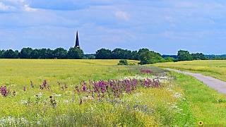 brandenburger.land - Ostprignitz-Ruppin Stüdenitz in Brandenburg