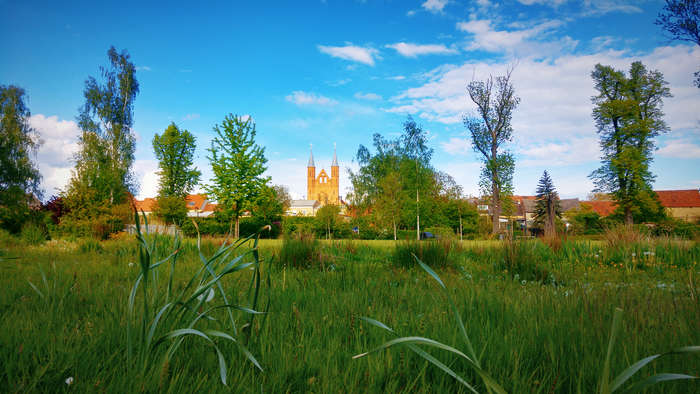Rosengarten in Kyritz, Brandenburger Land