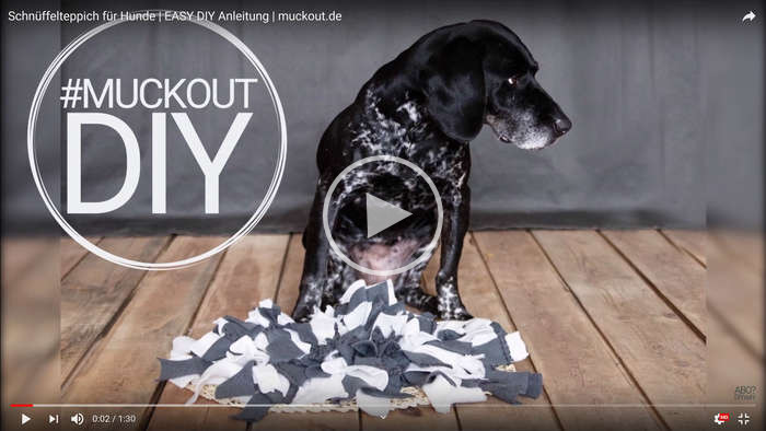 diy schnüffelteppich für hunde von Muckout in Kyritz, Brandenburg diy schnüffelteppich fuer hunde von Muckout in Kyritz, Brandenburg