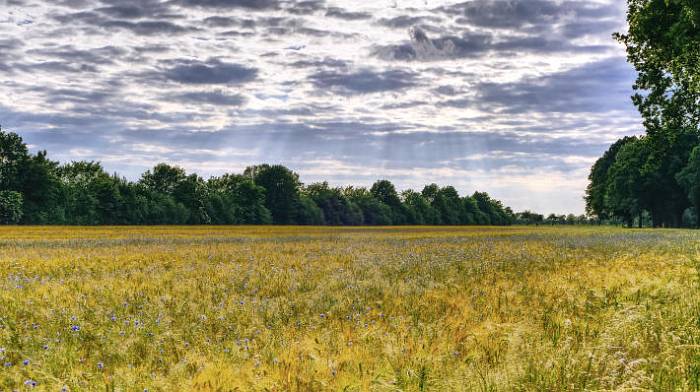 Ostprignitz-Ruppin