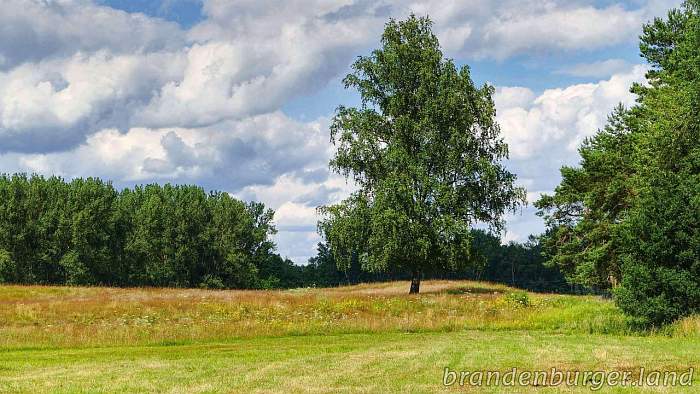 brandenburger.land - Prignitz